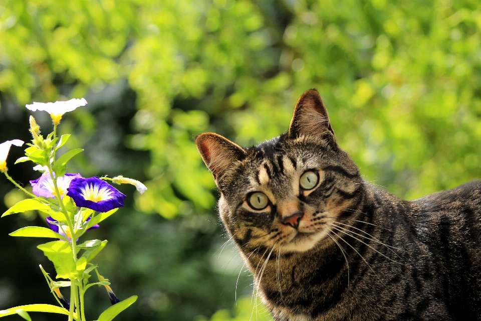 Natura erba all'aperto dolce