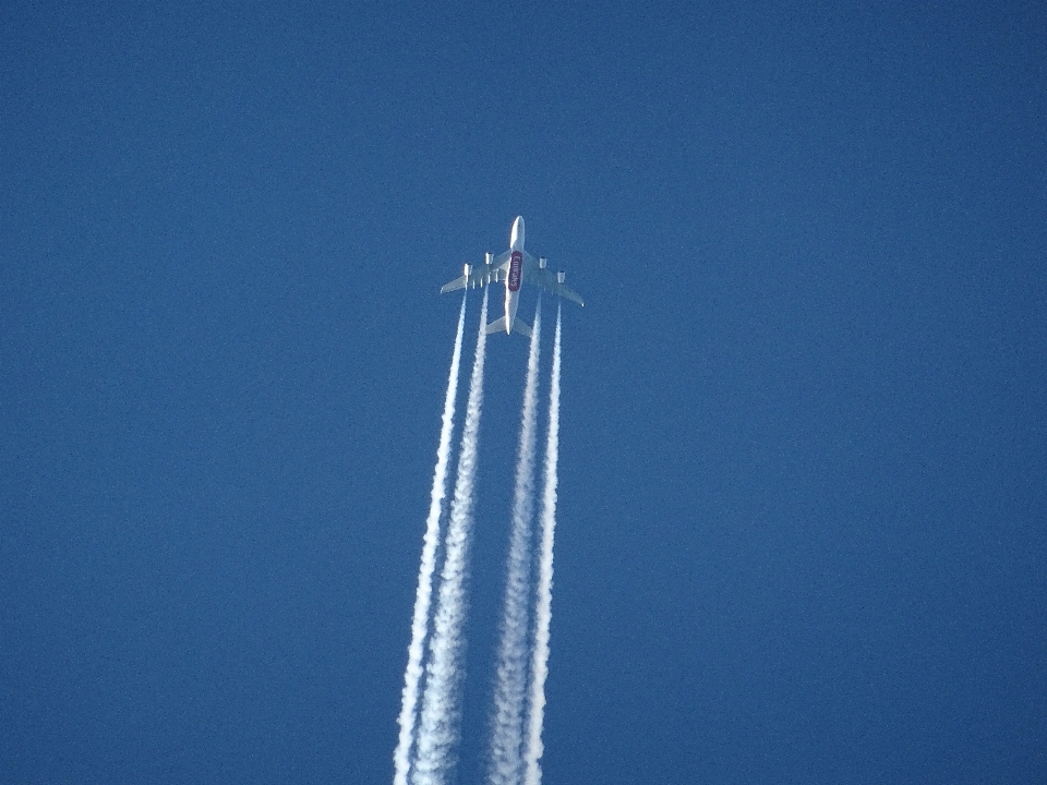 Ala cielo aria vento