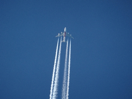 Wing sky air wind Photo