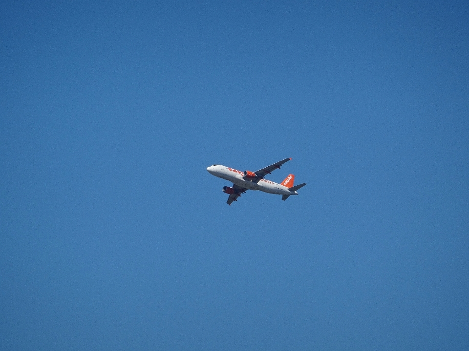 羽 空 旅行 飛行機