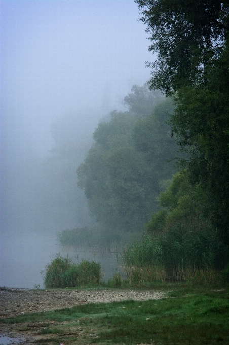 Landschaft baum wasser natur