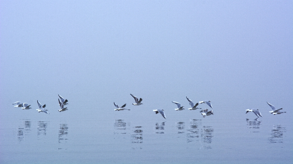 море побережье вода природа