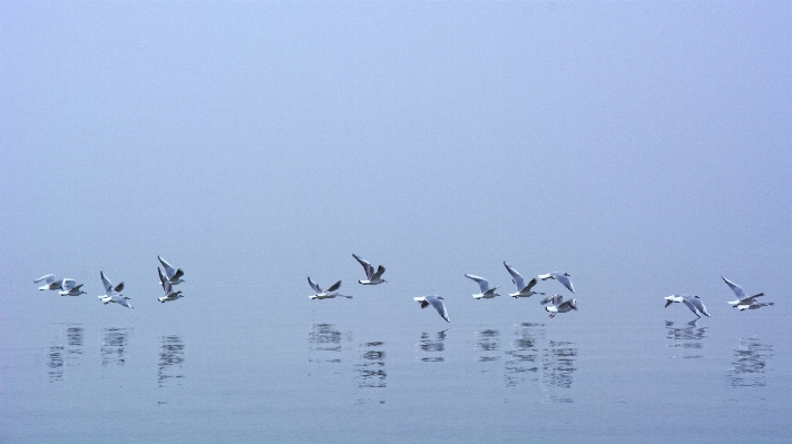 Sea coast water nature Photo