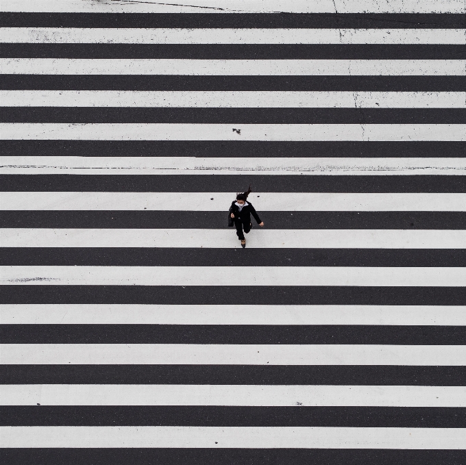 Aile noir et blanc
 blanc rue