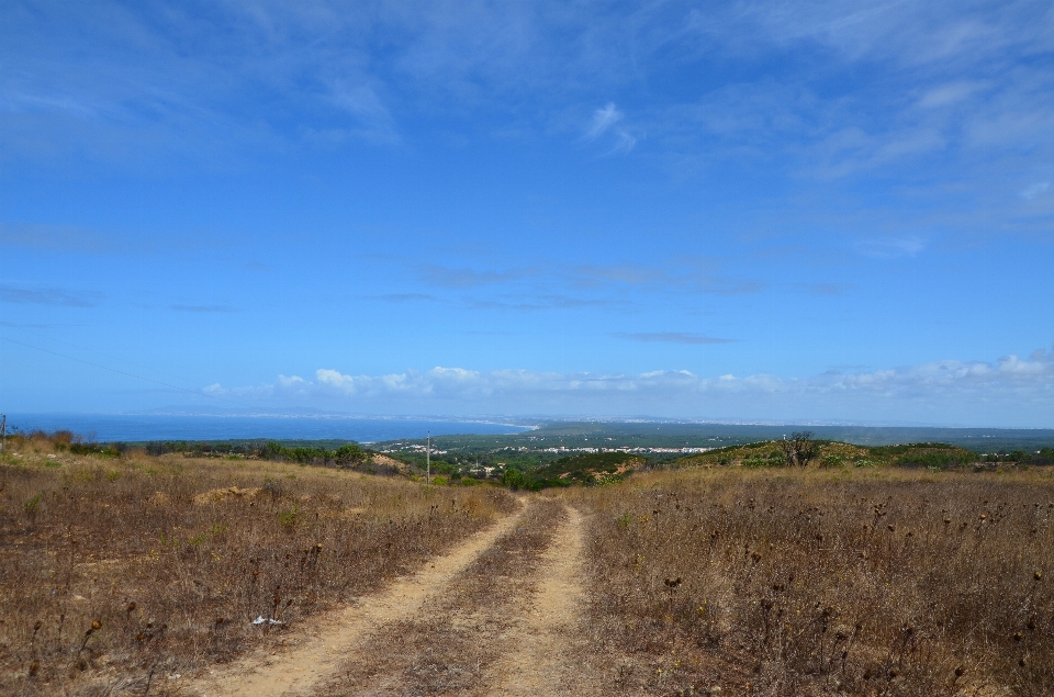 Landscape sea coast nature