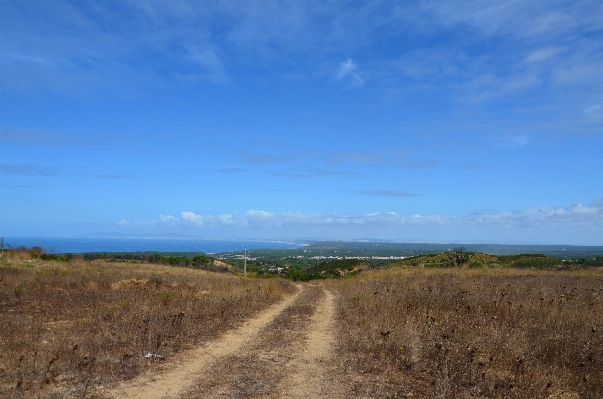 Landscape sea coast nature Photo