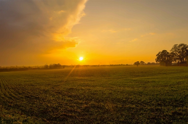 Landscape tree nature horizon Photo