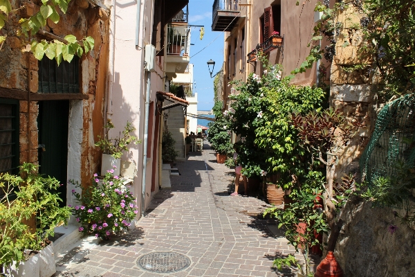 Street flower town alley Photo