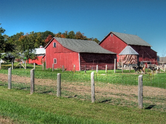 Farm barn hut rural Photo