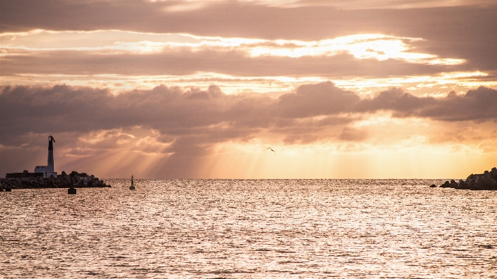 Beach sea coast water Photo