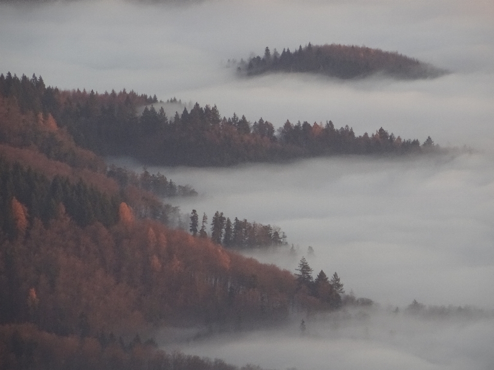 Landschaft natur wald wildnis
