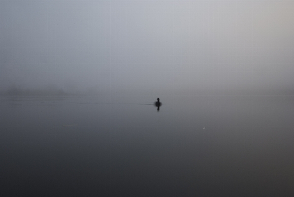 Horizon wing fog mist Photo