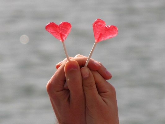 Hand plant leaf flower Photo