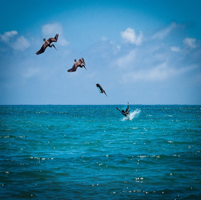 海滩 海 海洋 海浪