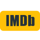 Imdb logo Icon