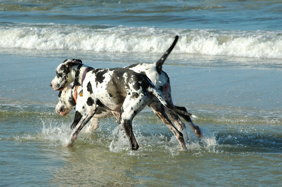 пляж море вода природа