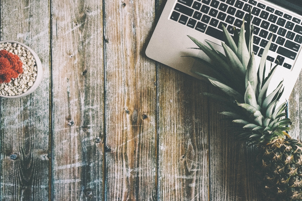 Laptop desk table cactus