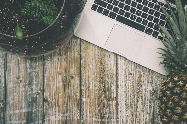 Laptop desk table plant Photo