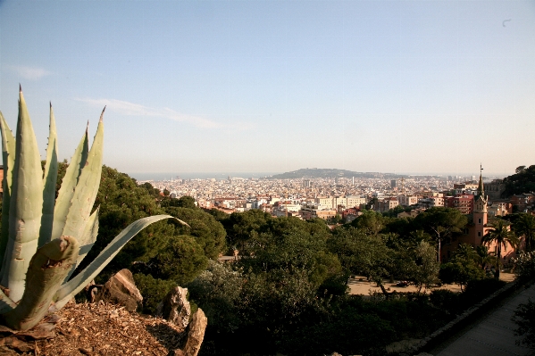 Landscape tree architecture plant Photo