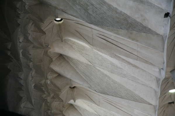 Wing architecture wood white Photo