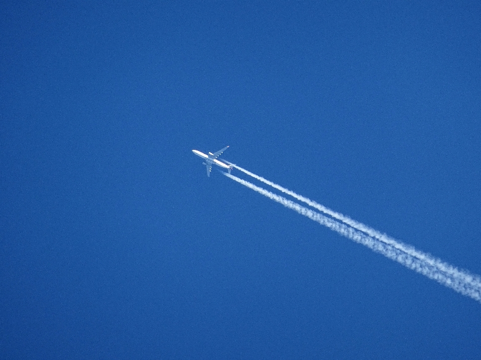 Ala cielo aire atmósfera