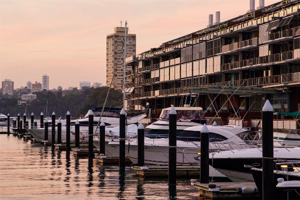 Dock 建築 遊歩道 スカイライン 写真