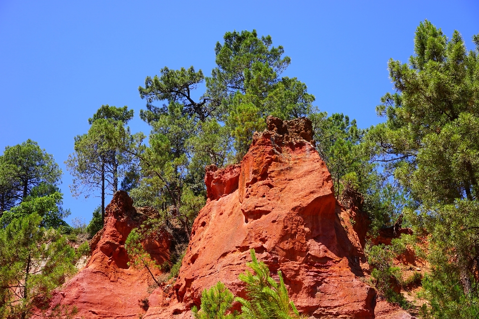 木 rock 荒野
 山