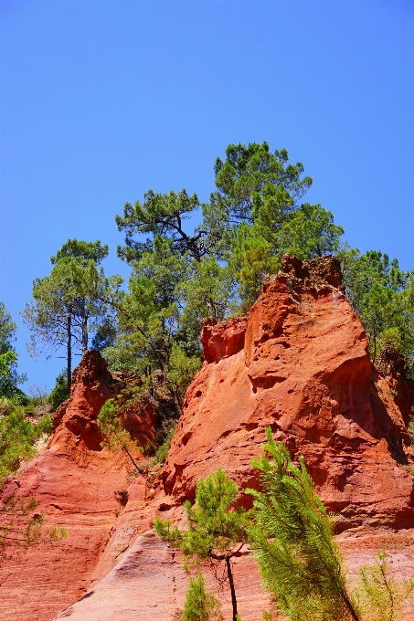 Paisagem árvore rock região selvagem
