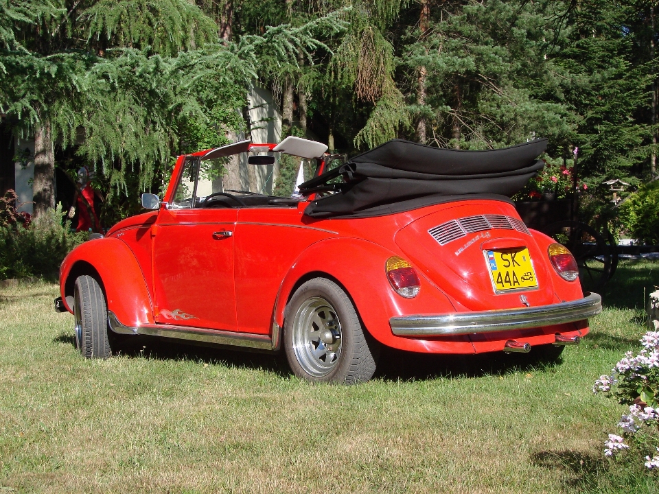 Car wheel vw red