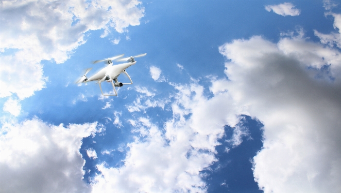 Bird wing cloud sky Photo