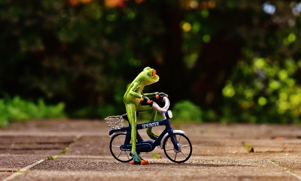 甘い 自転車 かわいい 緑