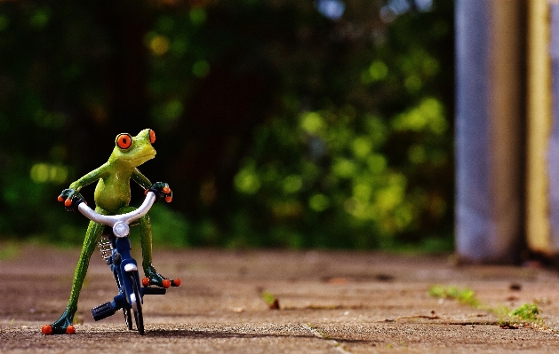 Sweet bike cute spring Photo