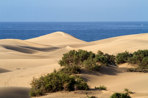 Beach landscape sea coast Photo