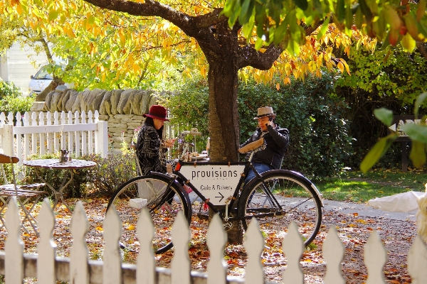 Cold fall flower bicycle Photo