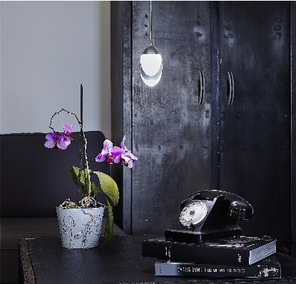 Table white flower interior Photo