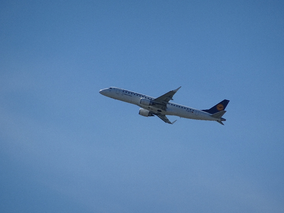 Ala cielo tecnología volar