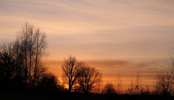 Landschaft baum natur horizont Foto