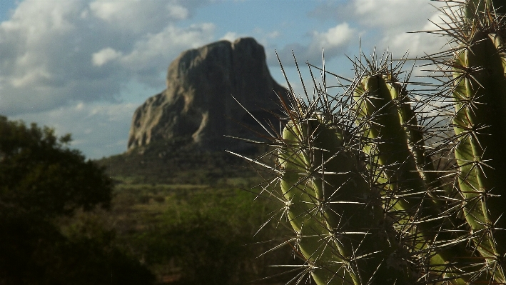 Landscape nature grass mountain Photo