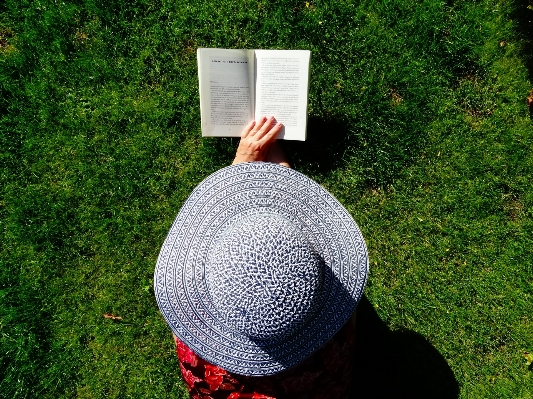 Grass book read lawn Photo