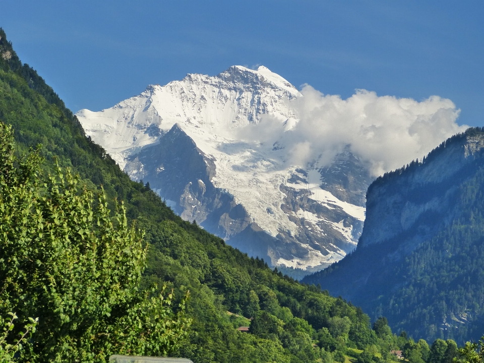 Paisagem região selvagem
 montanha neve