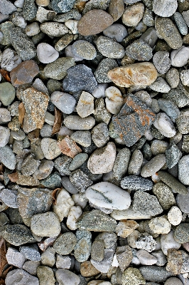 Rock wood cobblestone wall Photo