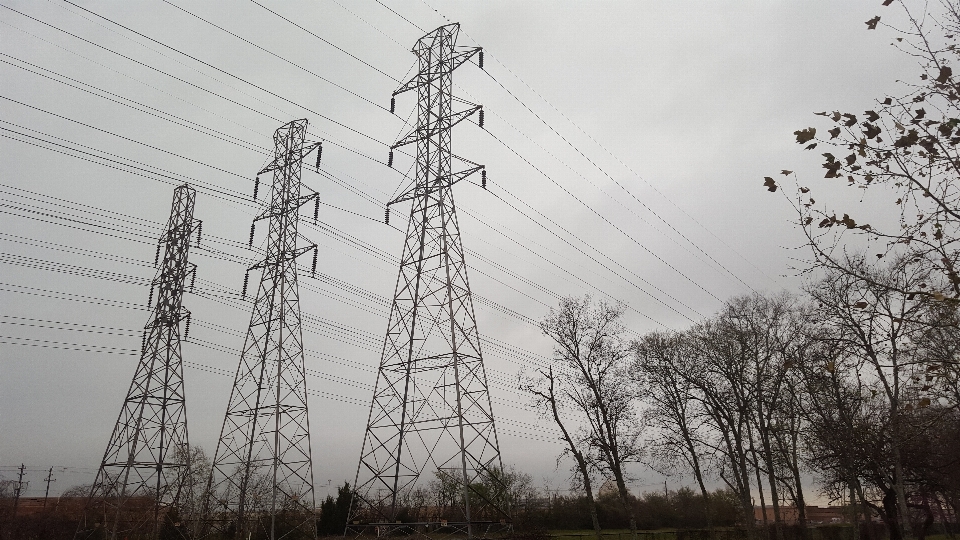 Pohon struktur langit teknologi