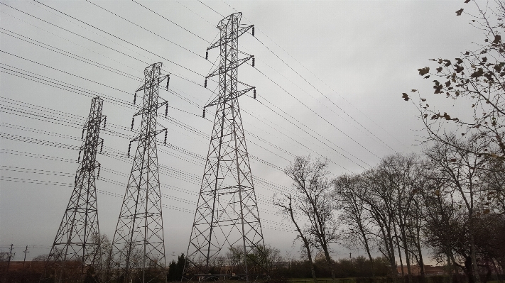 Tree structure sky technology Photo