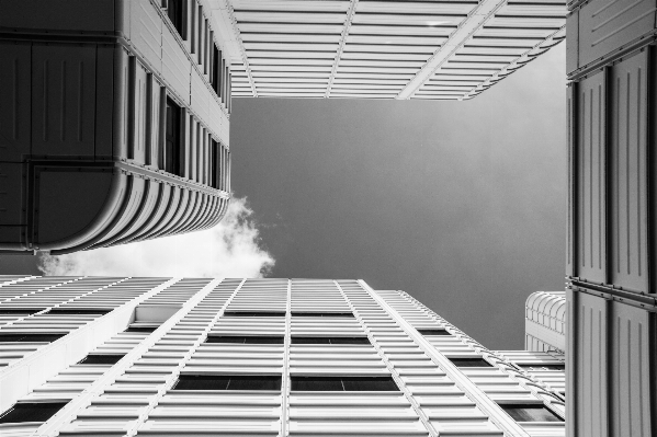 Foto Preto e branco
 arquitetura branco casa