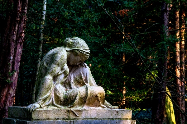 Foto Hutan batu monumen patung