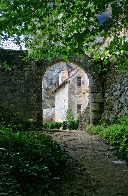 árvore casa prédio castelo
