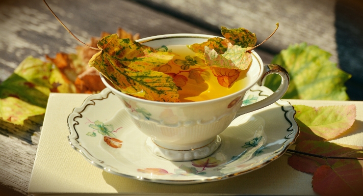 Book dish meal food Photo