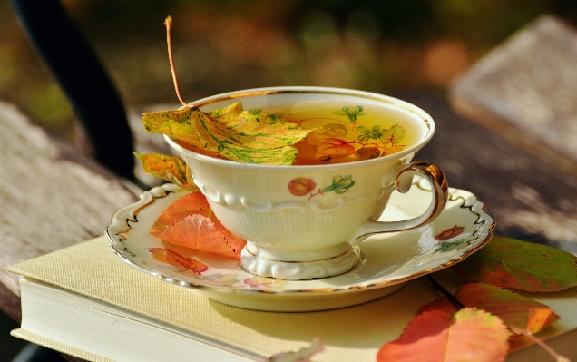 Book dish meal food Photo