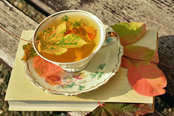 Book flower dish meal Photo