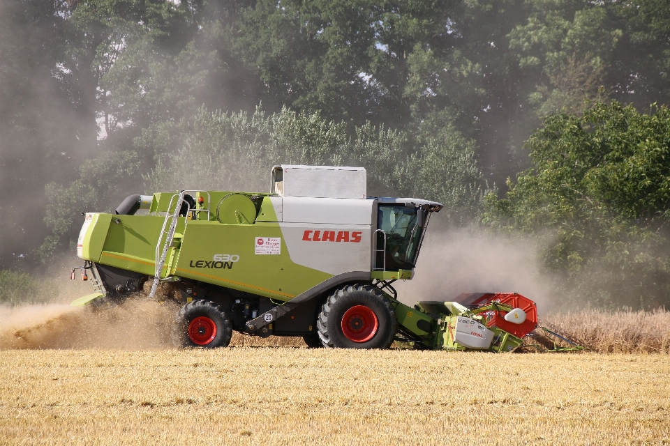 Tractor campo granja trigo